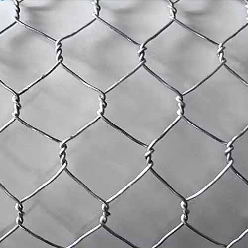 High quality galvanized hexagonal wire mesh roll used for chicken farm