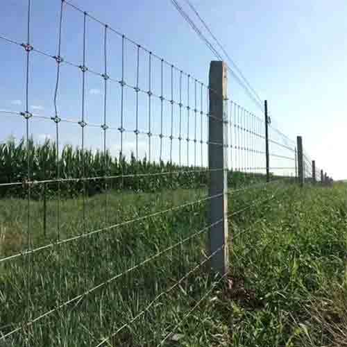 Hot dip galvanized livestock fence hog wire fencing field Grassland fence